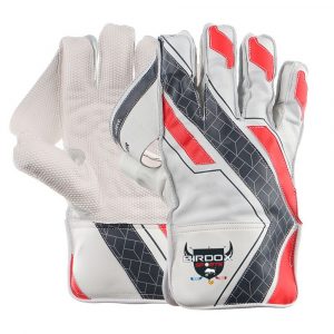 Wicket Keeping Gloves