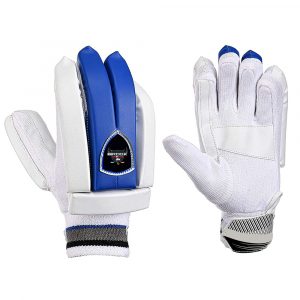 Cricket Batting Gloves