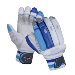 Cricket Batting Gloves