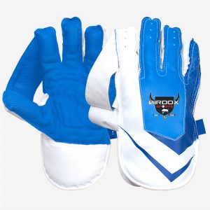 Wicket Keeping Gloves