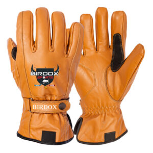 Motorbike Gloves